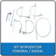 Kit Introdutor Femoral / Radial