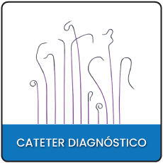 Cateter Diagnostico