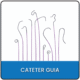 Cateter Guia