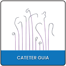 Cateter Guia